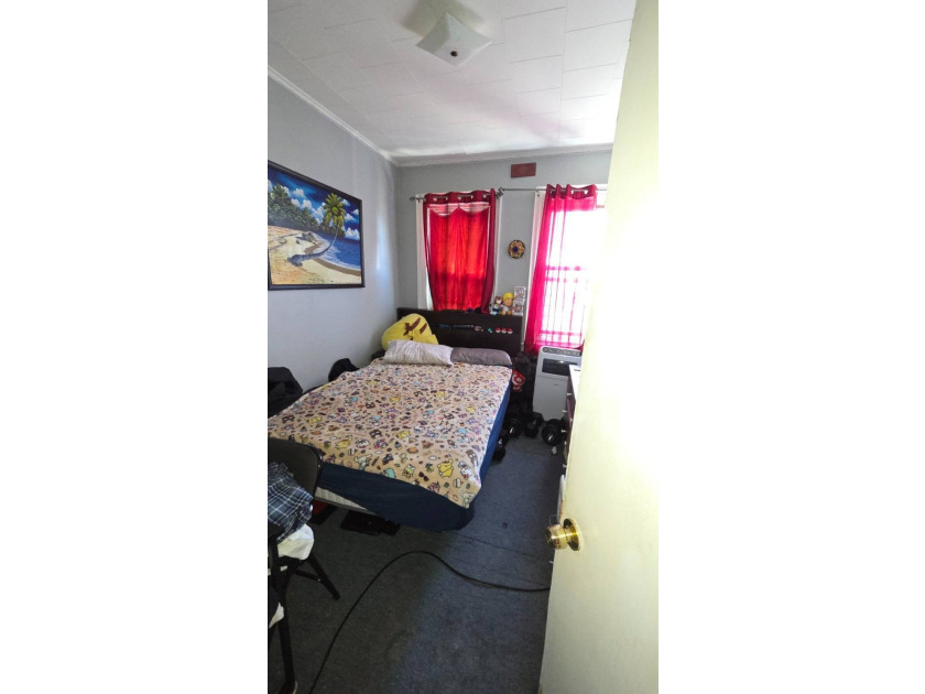 Rare Opportunity Fully Detached 2-Family Home With Finished - photo 18