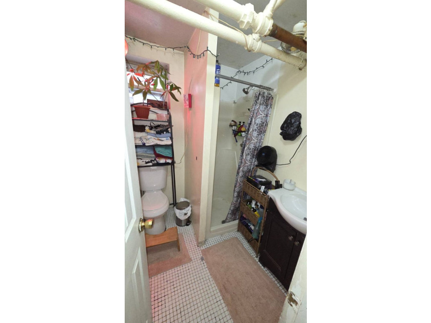 Rare Opportunity Fully Detached 2-Family Home With Finished - photo 21