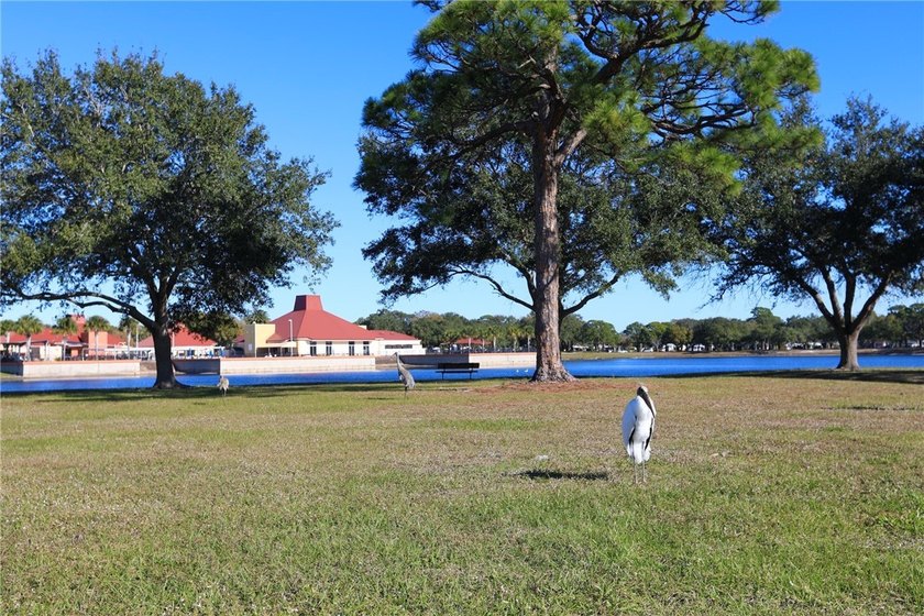 Situated on a sought-after 75' x 100' Haven Green lot, this - photo 25