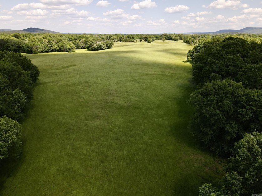 This exceptional multi-use farm with Petit Jean River frontage - photo 11
