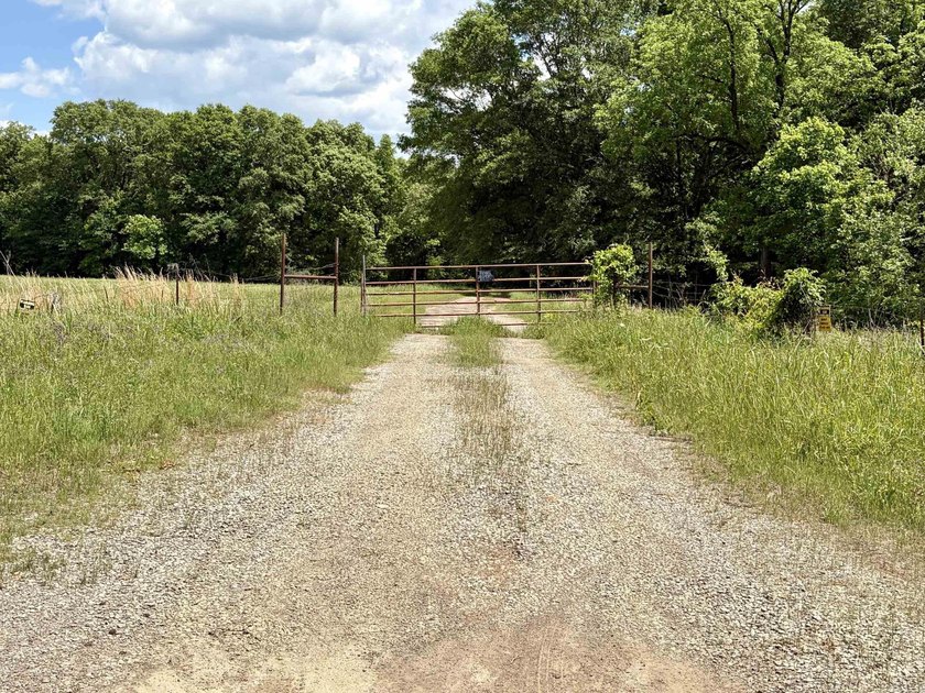 This exceptional multi-use farm with Petit Jean River frontage - photo 12