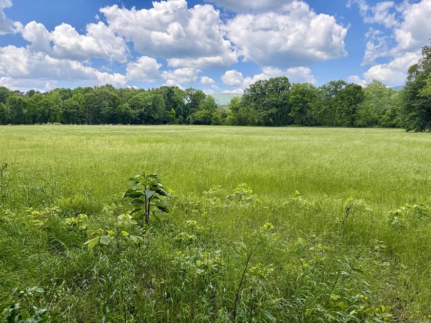 This exceptional multi-use farm with Petit Jean River frontage - photo 15