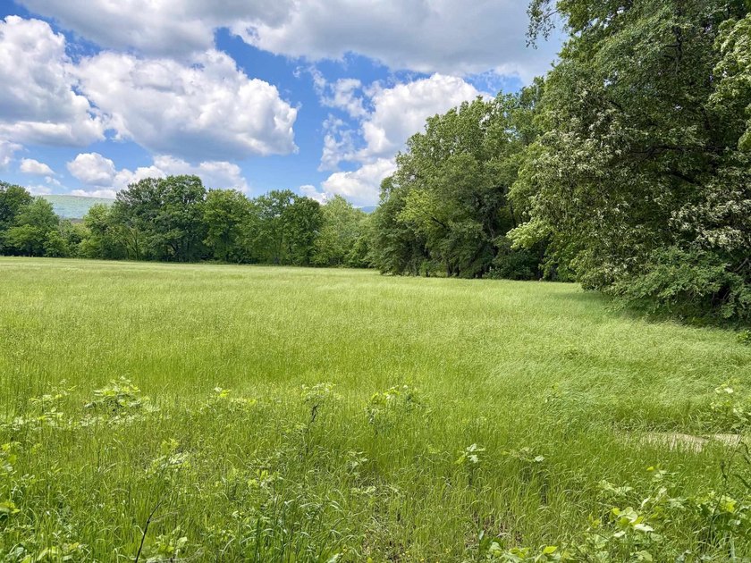 This exceptional multi-use farm with Petit Jean River frontage - photo 16