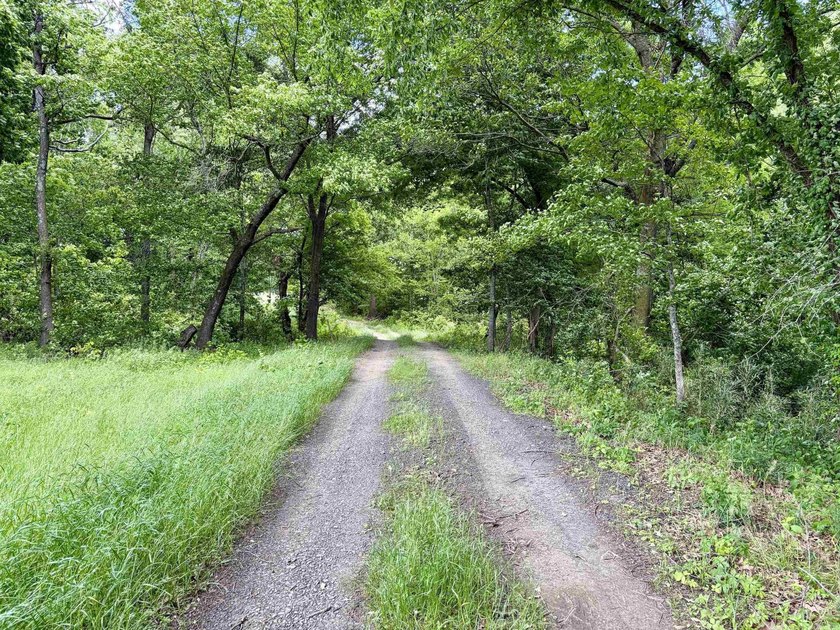 This exceptional multi-use farm with Petit Jean River frontage - photo 17