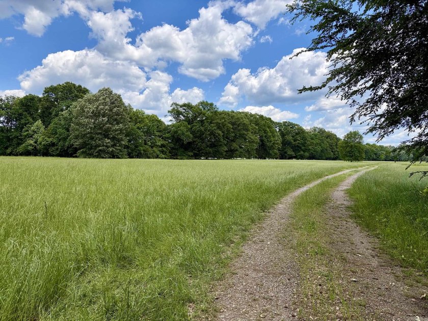 This exceptional multi-use farm with Petit Jean River frontage - photo 19