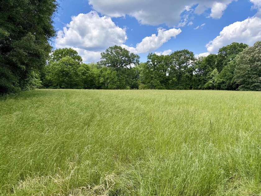 This exceptional multi-use farm with Petit Jean River frontage - photo 20