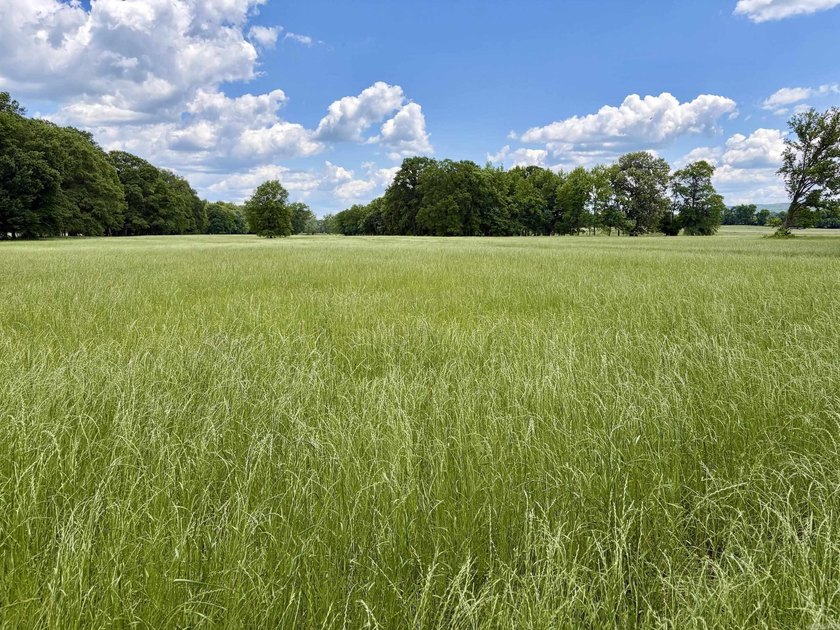 This exceptional multi-use farm with Petit Jean River frontage - photo 21