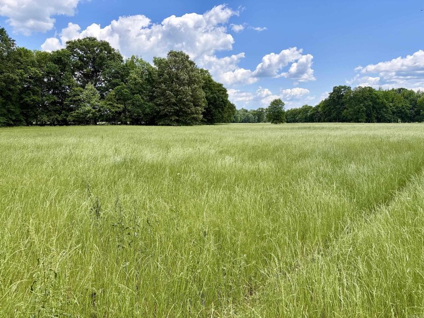 This exceptional multi-use farm with Petit Jean River frontage - photo 22