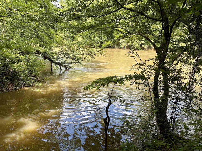 This exceptional multi-use farm with Petit Jean River frontage - photo 24