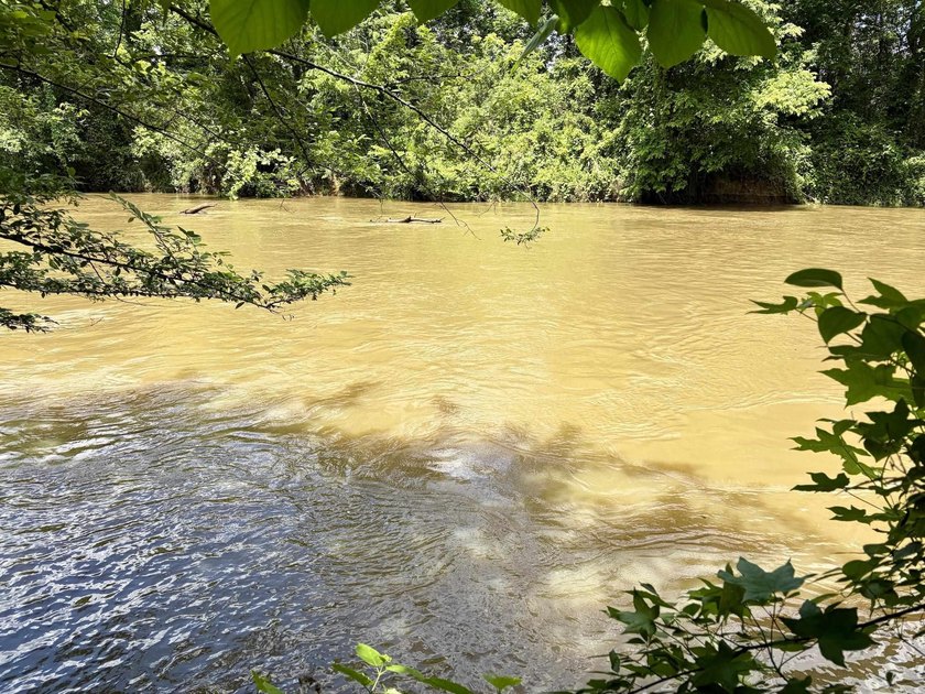 This exceptional multi-use farm with Petit Jean River frontage - photo 26