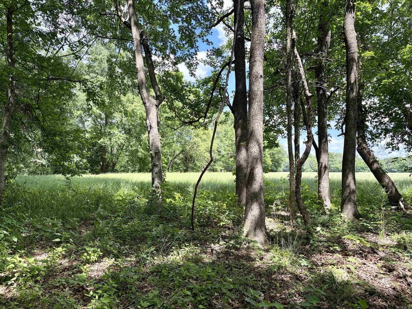 This exceptional multi-use farm with Petit Jean River frontage - photo 28