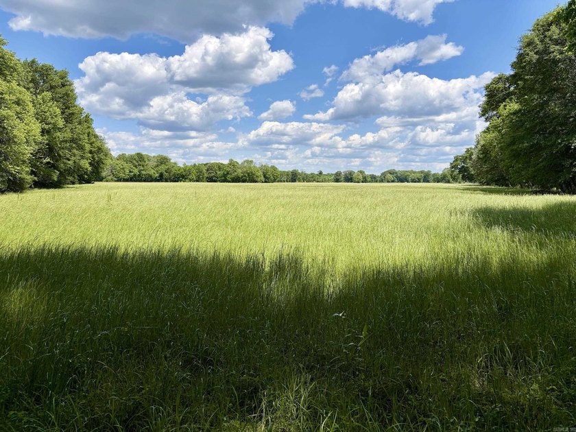 This exceptional multi-use farm with Petit Jean River frontage - photo 29