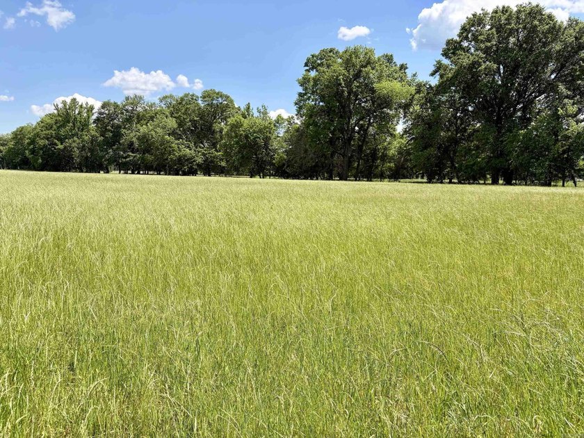 This exceptional multi-use farm with Petit Jean River frontage - photo 36