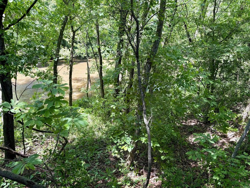 This exceptional multi-use farm with Petit Jean River frontage - photo 38
