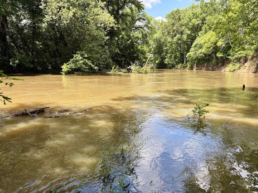 This exceptional multi-use farm with Petit Jean River frontage - photo 42