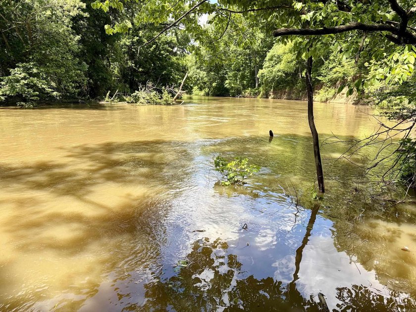 This exceptional multi-use farm with Petit Jean River frontage - photo 44