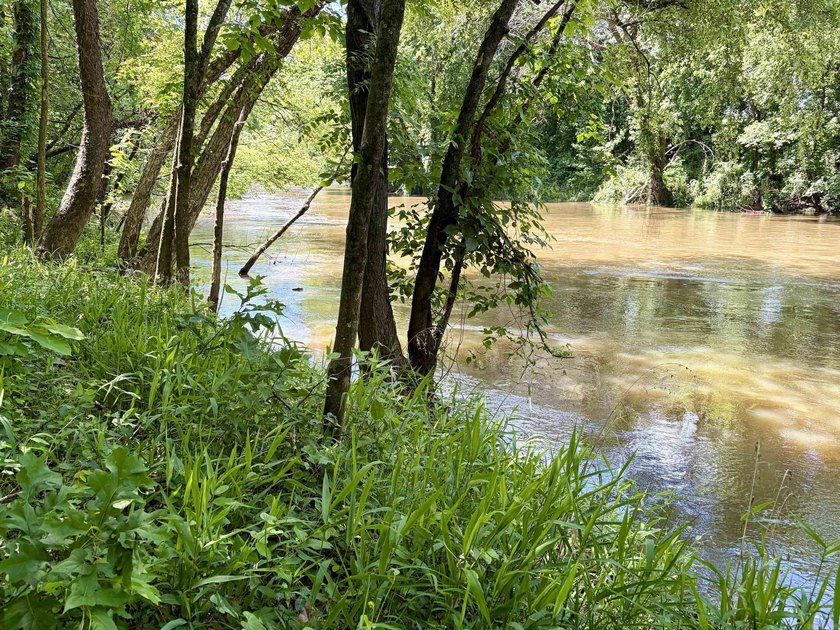 This exceptional multi-use farm with Petit Jean River frontage - photo 45