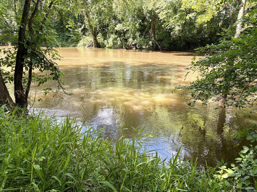 This exceptional multi-use farm with Petit Jean River frontage - photo 46