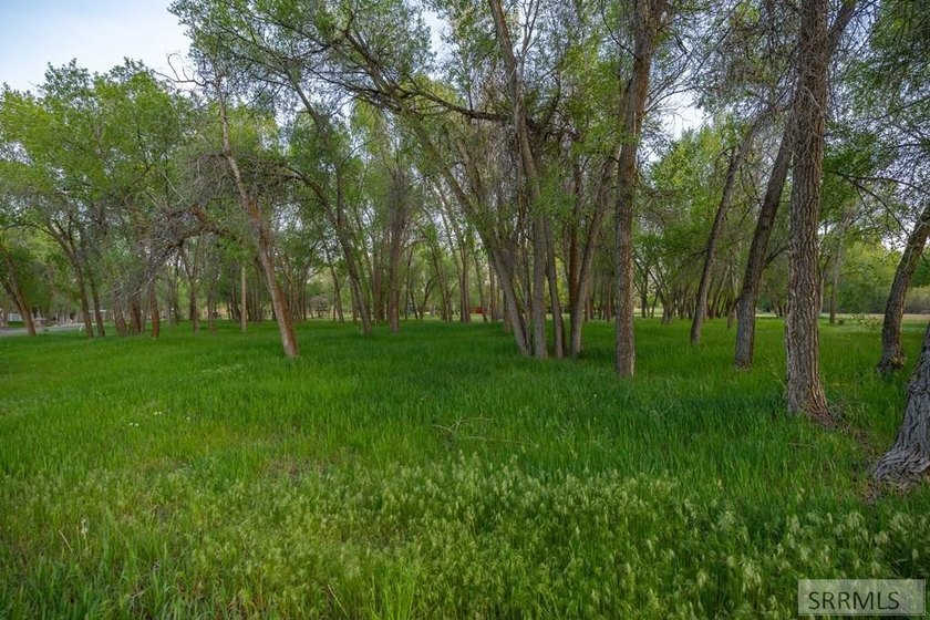 Exclusive Luxury Homesite Opportunity - Design-Controlled Build - photo 5