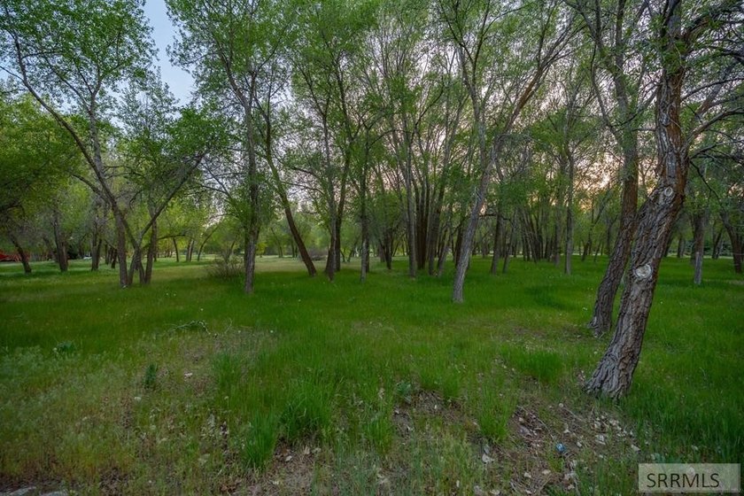 Exclusive Luxury Homesite Opportunity - Design-Controlled Build - photo 9