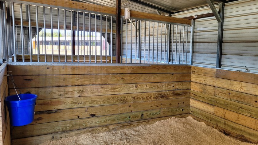 NEW LOW PRICE and INCREDIBLE BUY!! This exceptional horse - photo 9