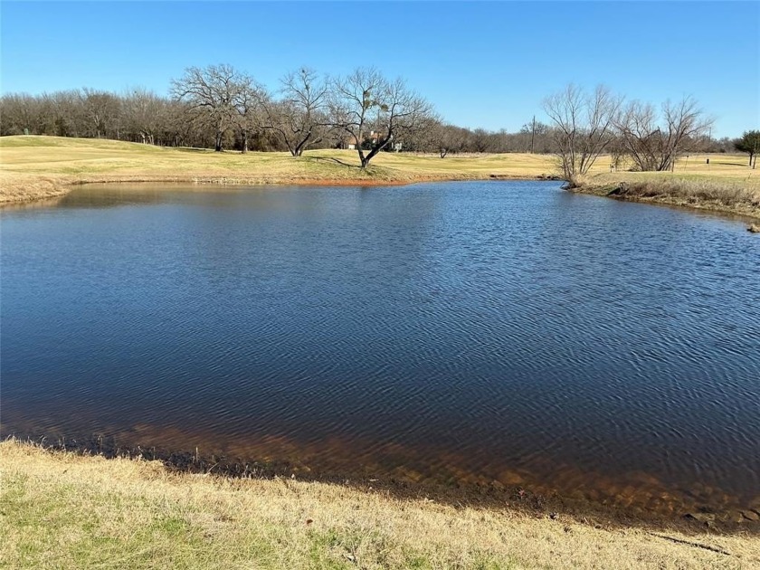 Like to play golf...White Bluff has two beautiful golf courses - photo 12