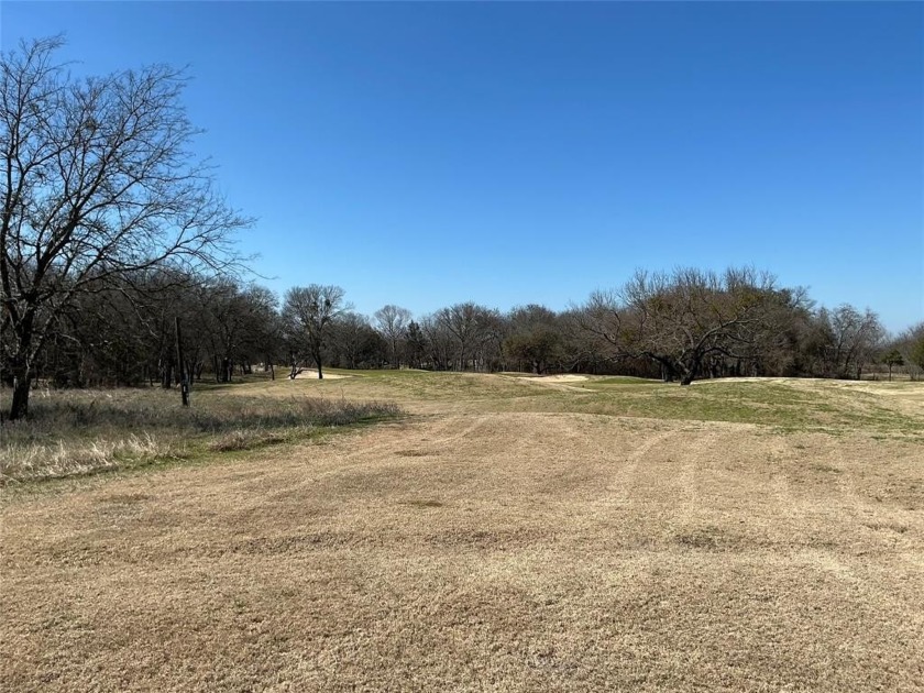 Like to play golf...White Bluff has two beautiful golf courses - photo 13