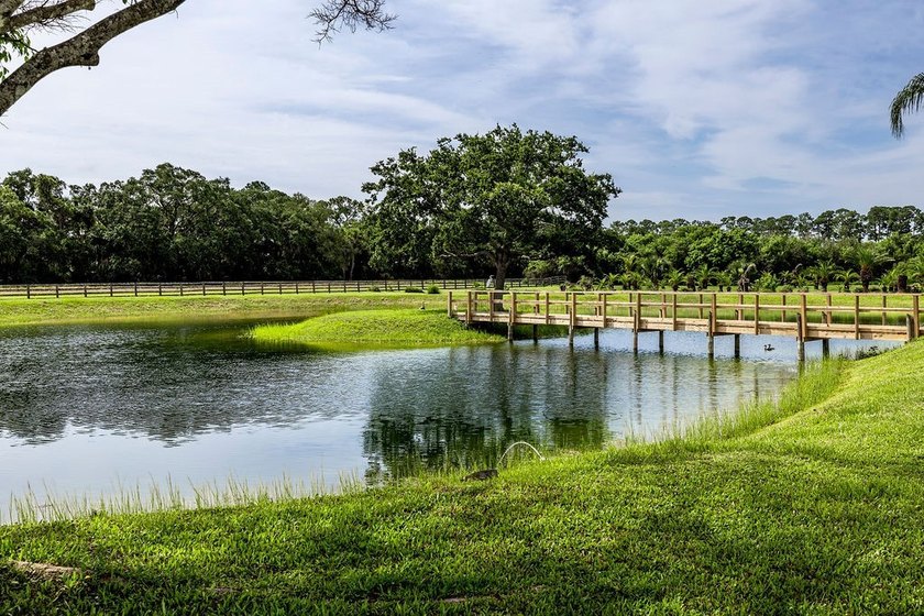 Discover this private, gated 18.1+/- acre estate. Two parcels - photo 19