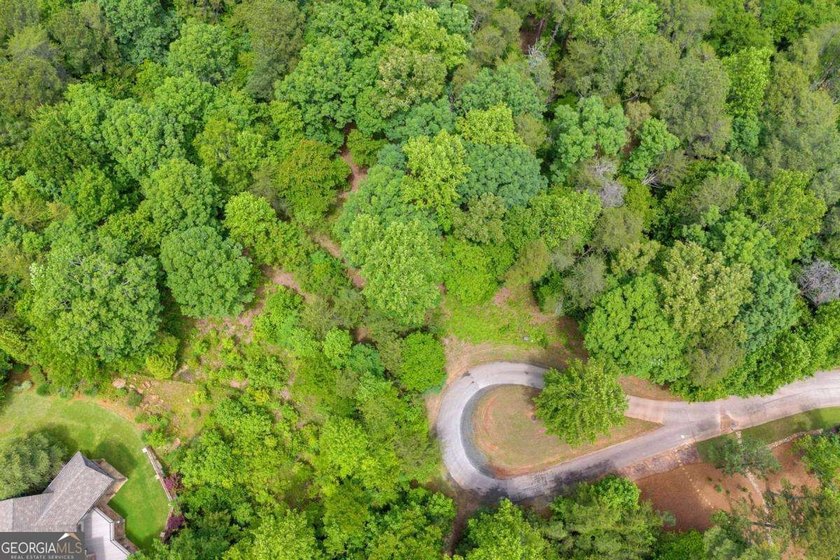 Welcome to an exceptional opportunity to build your dream home - photo 4