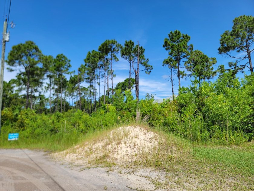 Discover a rare opportunity to own a spacious .4625-acre lot in - photo 3
