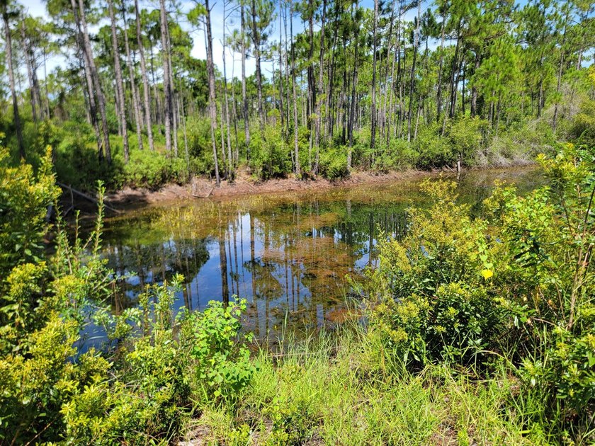 Discover a rare opportunity to own a spacious .4625-acre lot in - photo 5