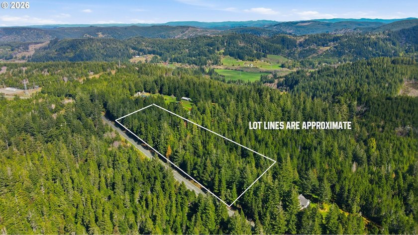 Tucked away on the east side of Bandon, this forested 5-acre - photo 12