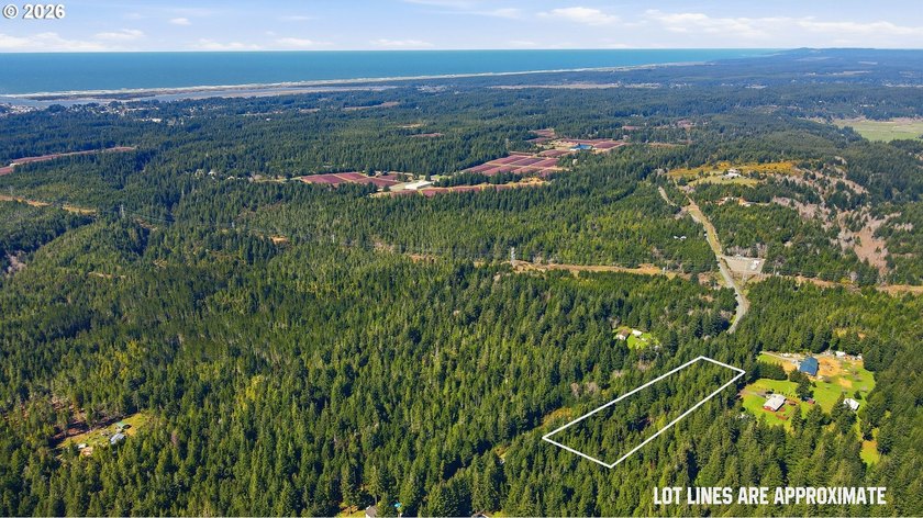 Tucked away on the east side of Bandon, this forested 5-acre - photo 13