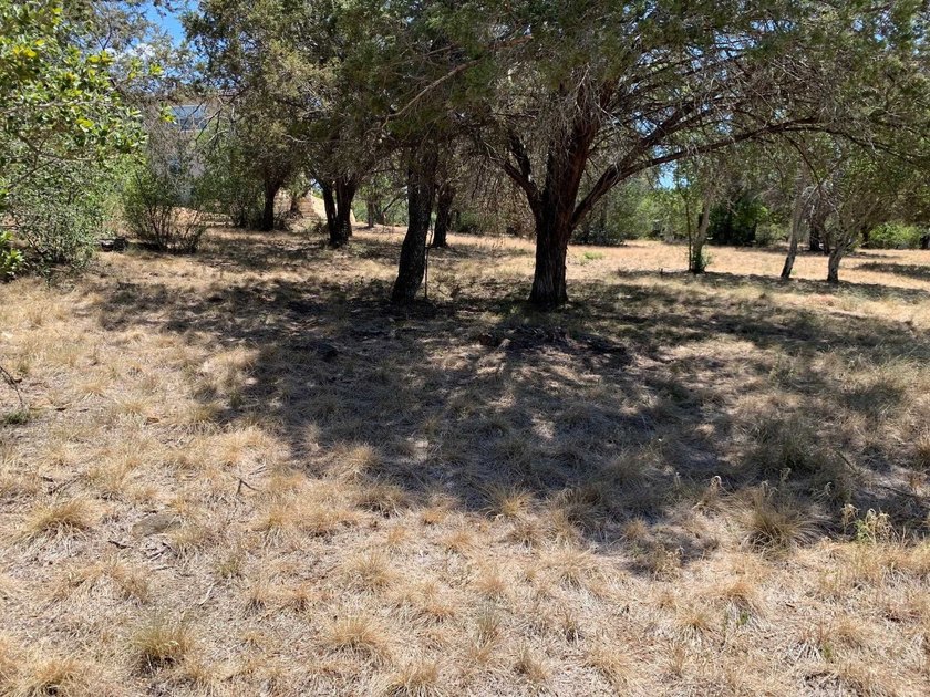 Gorgeous large lot that is fairly level with lots of trees! It - photo 15