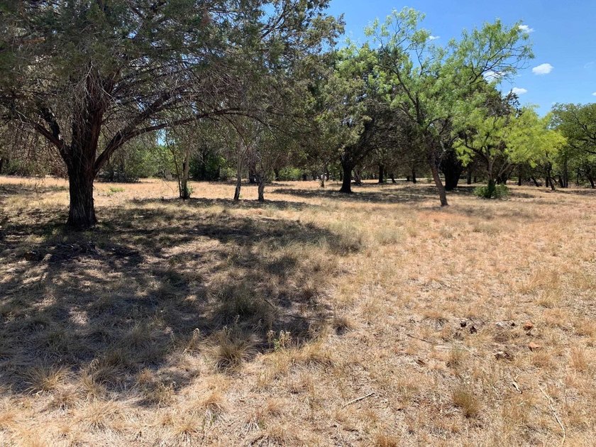 Gorgeous large lot that is fairly level with lots of trees! It - photo 16