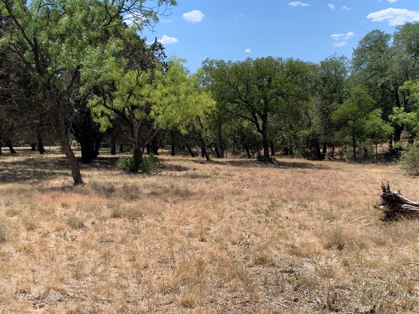 Gorgeous large lot that is fairly level with lots of trees! It - photo 17
