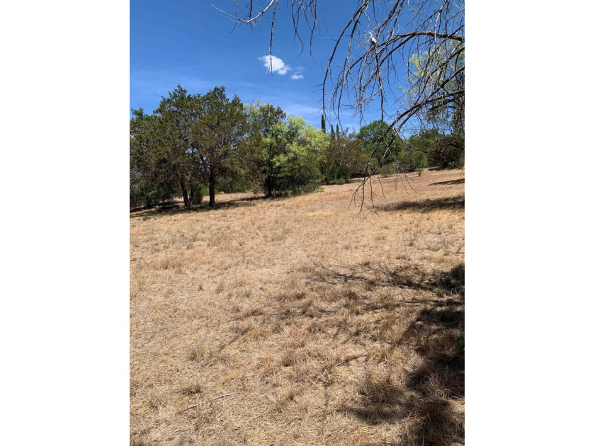Gorgeous large lot that is fairly level with lots of trees! It - photo 18