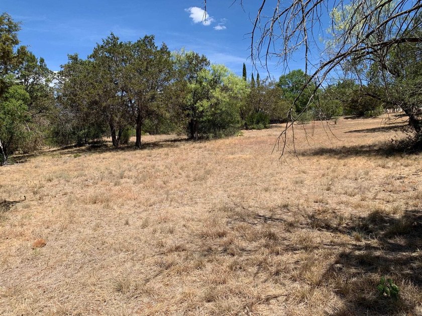 Gorgeous large lot that is fairly level with lots of trees! It - photo 19