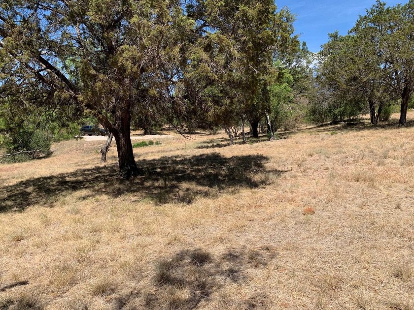Gorgeous large lot that is fairly level with lots of trees! It - photo 20