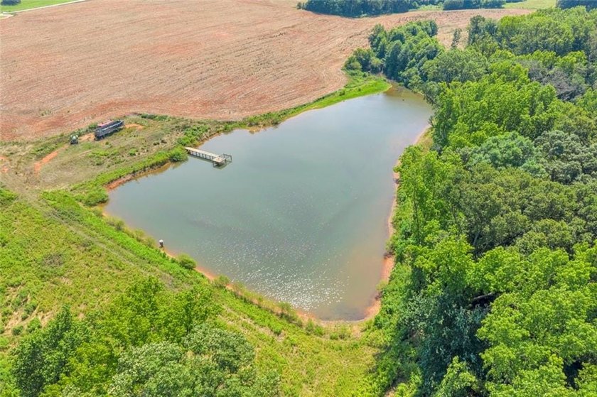 Welcome To Real Farm Life! 51.57 Acre Legacy Estate in Hart - photo 4