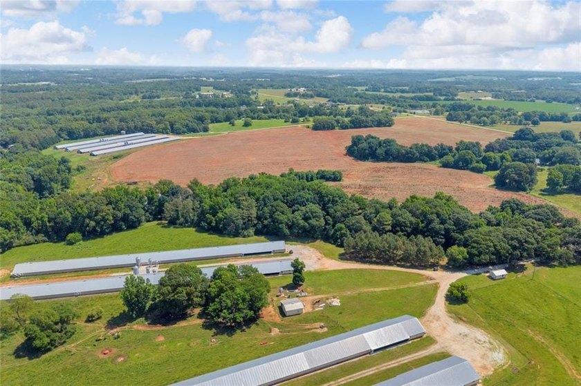 Welcome To Real Farm Life! 51.57 Acre Legacy Estate in Hart - photo 6
