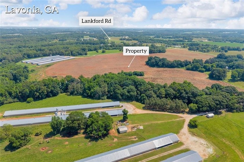 Welcome To Real Farm Life! 51.57 Acre Legacy Estate in Hart - photo 7