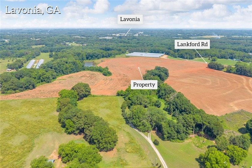 Welcome To Real Farm Life! 51.57 Acre Legacy Estate in Hart - photo 8