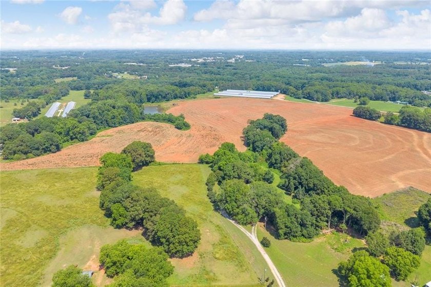 Welcome To Real Farm Life! 51.57 Acre Legacy Estate in Hart - photo 10