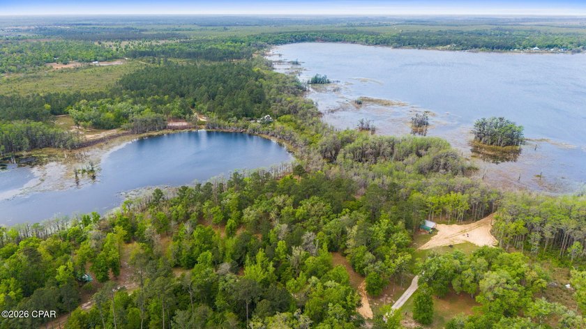 Very peaceful 1.58 acre waterfront property on Lucas Lake - photo 11