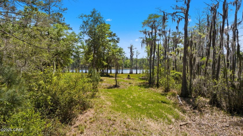Very peaceful 1.58 acre waterfront property on Lucas Lake - photo 15