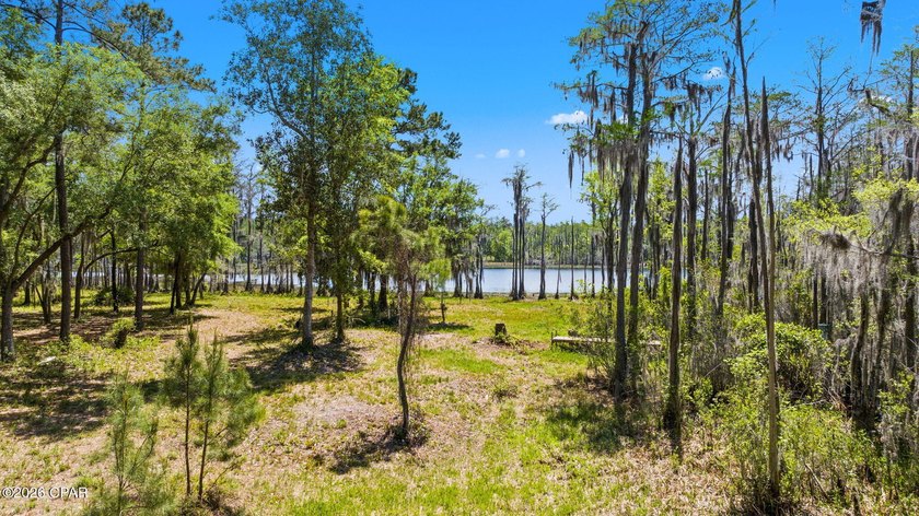 Very peaceful 1.58 acre waterfront property on Lucas Lake - photo 16