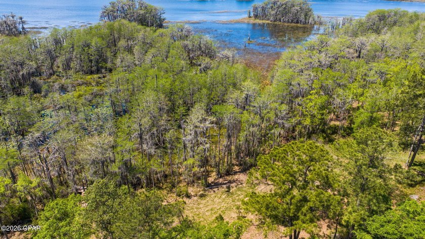 Very peaceful 1.58 acre waterfront property on Lucas Lake - photo 18