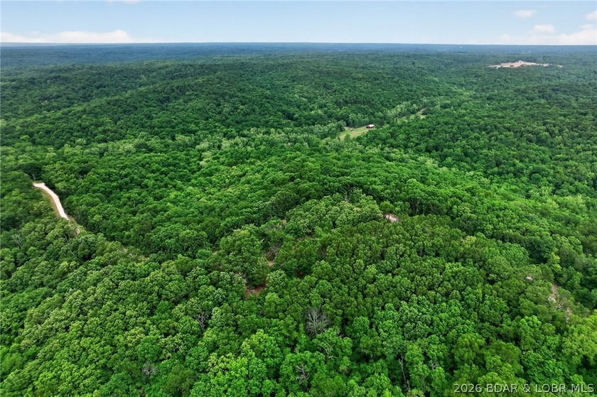 WOW! New Price! Rare opportunity to own 23+ wooded acres with a - photo 3