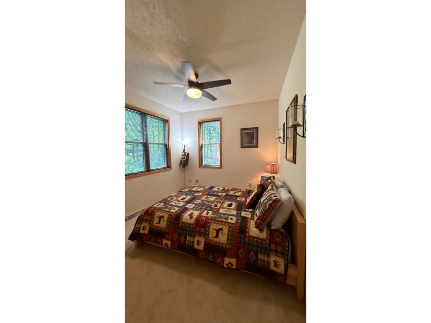Rare Opportunity on Pine Lake! Homes on this sought-after lake - photo 19